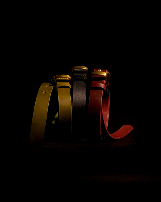 Horseshoe Buckle Belt